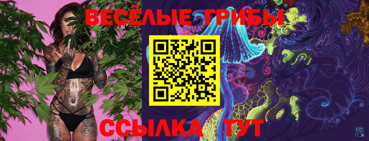 закладки  Вход с VPN  Ярославль  Галлюциногенные грибы MAGIC MUSHROOMS 