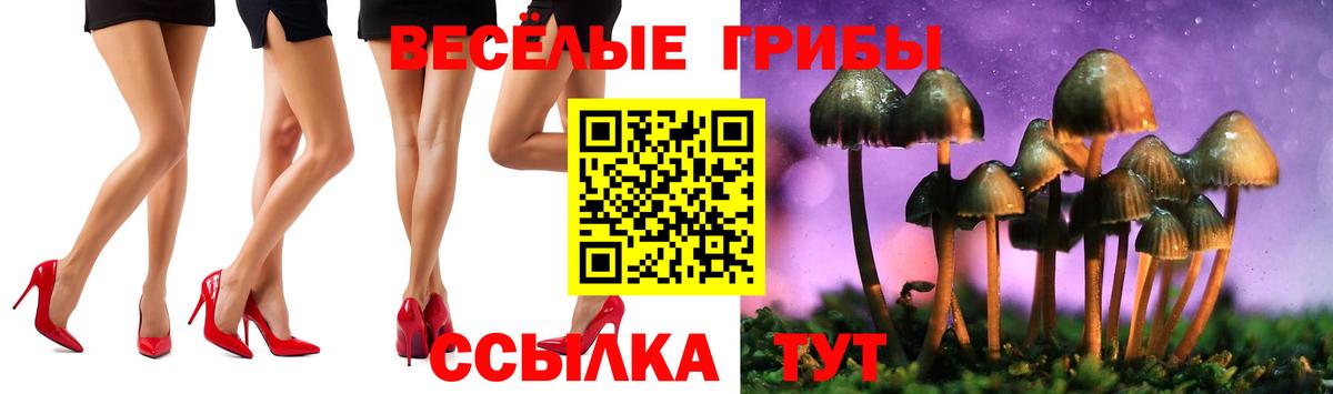 Галлюциногенные грибы Psilocybe Ярославль